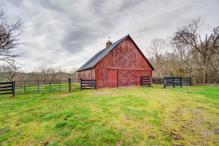 DSC03111_2_3_4_5Natural01