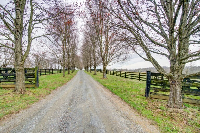 DSC03246_47_48_49_50Natural01