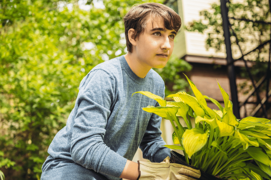 What Is Horticultural Therapy?