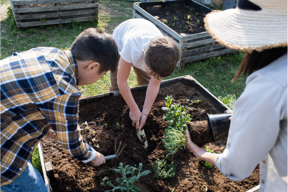 horticultural therapy for teens