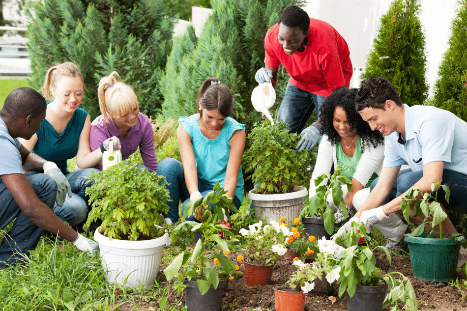 What Is Horticultural Therapy? The Benefits of Gardening for Teen Mental Health