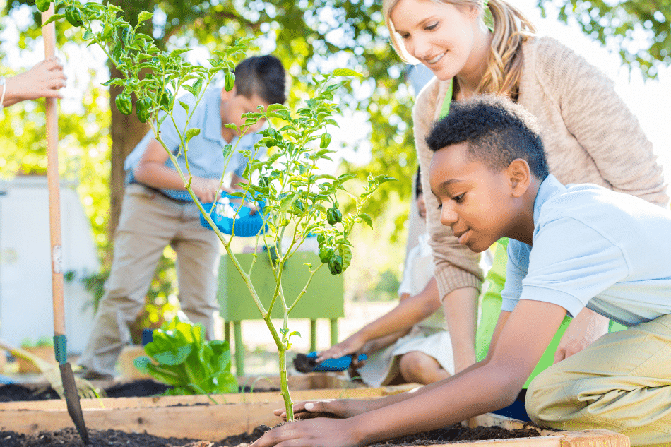 Group Gardening Therapy Activities for Teens