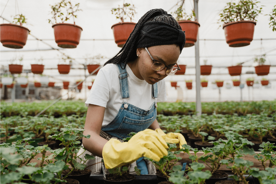 horticultural therapy for trauma in teens