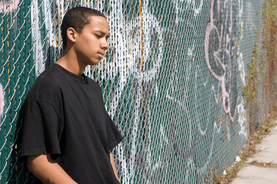 Schema Theory and Attachment Explained