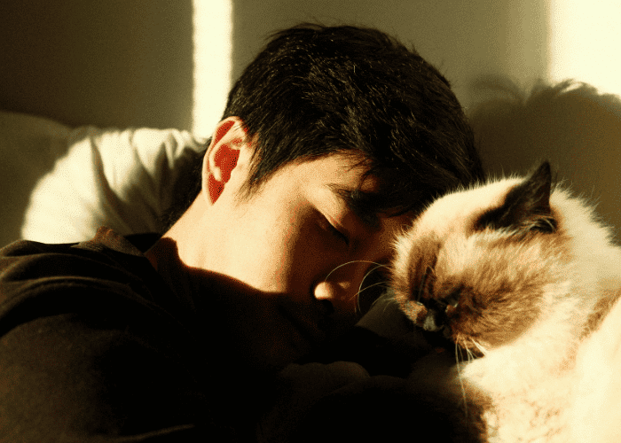 Teen boy laying on bed needing support with pet grief