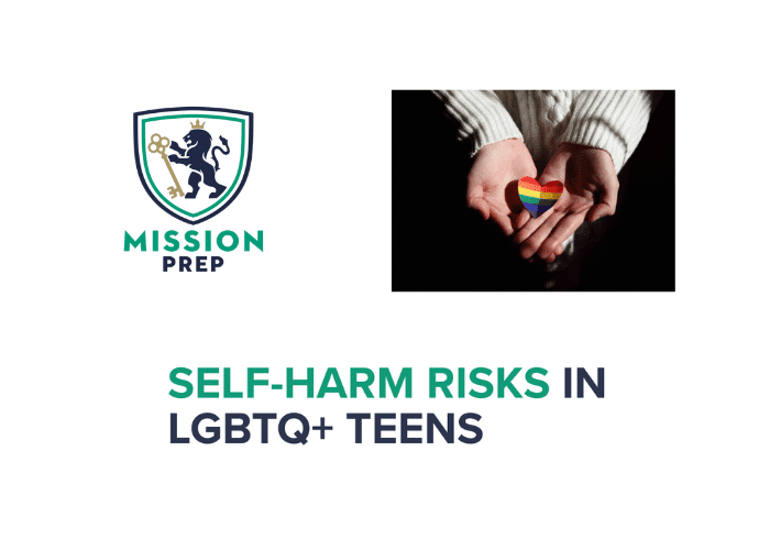 Mission prep logo and self-harms risks in LGBTQ+ teens image